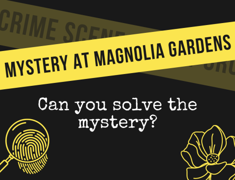 yellow crime tape with the words "mystery at Magnolia Gardens." Underneath, typewritten letters read "Can you solve the mystery?" 