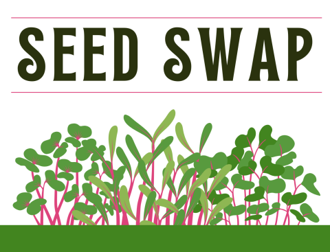 Text across the top reads "Seed Swap". The bottom of the image is a graphic of many small seedlings growing together